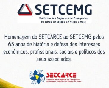 setcemg.site