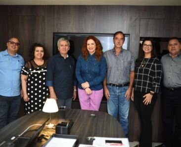 ReuniãoComite.tecnico2019