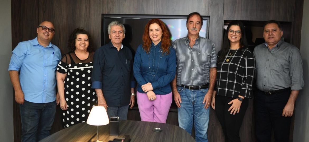 ReuniãoComite.tecnico2019