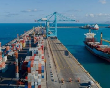 Design sem nome_20241025_082146_0000