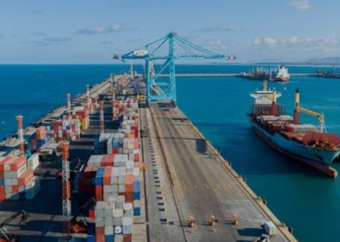 Design sem nome_20241025_082146_0000