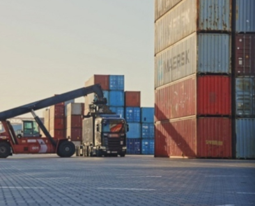 Design sem nome_20241109_000755_0000