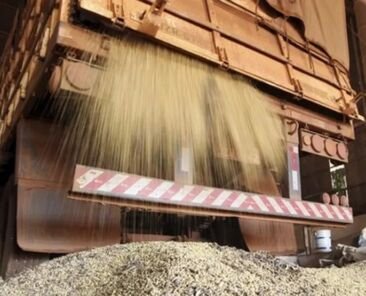 WhatsApp-Image-2025-03-10-at-07.59.25