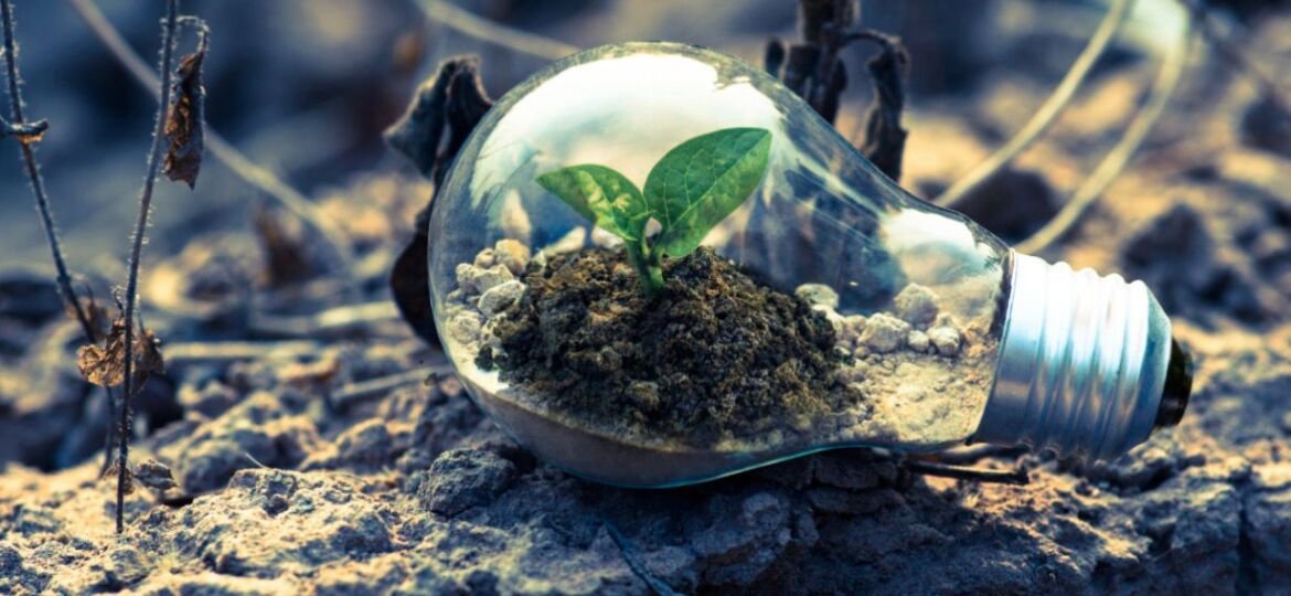 WhatsApp-Image-2026-02-03-at-07.30.42-2